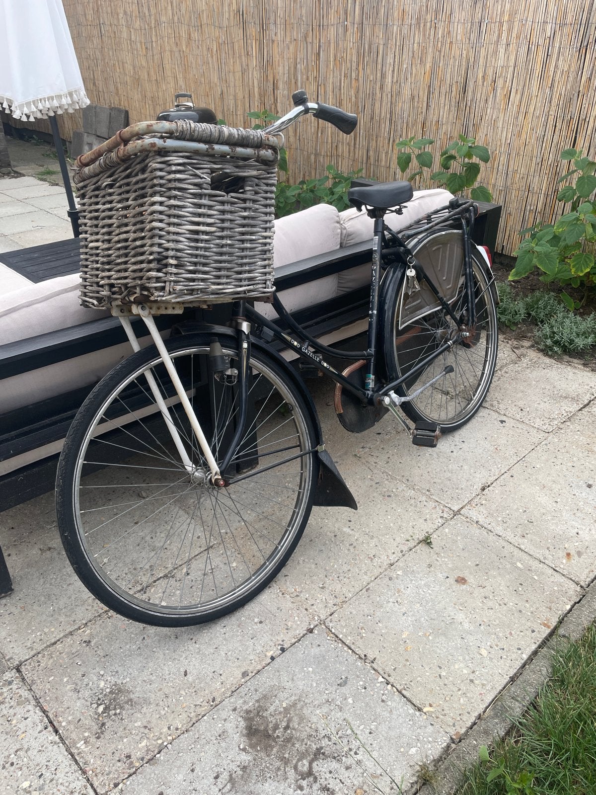 Gazelle dames met mand - Gebruikt, Ophalen, Terugtraprem, Gazelle, 53 tot 56 cm