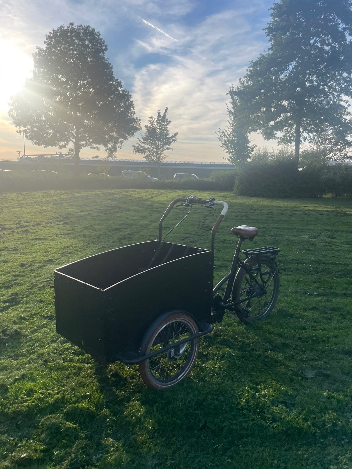 Elektrische bakfiets, Ophalen, Gebruikt, Schijfrem, 2 kinderen