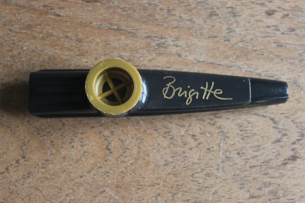 Brigitte Kaandorp - Kazoo - Cabaretprogramma Zó, Ophalen of Verzenden, Nieuw, Instrument of Toebehoren