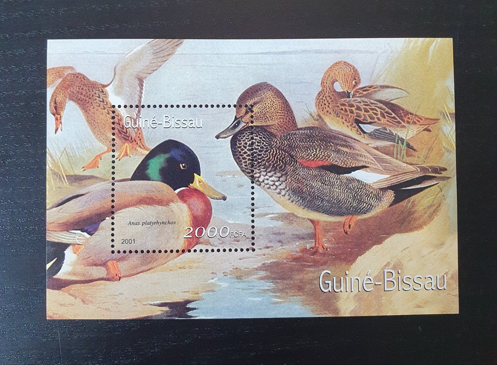 Guinee-Bissau 2001 Vogels Eenden Michel blok 327 postfris, Verzenden, Postfris, Dier of Natuur