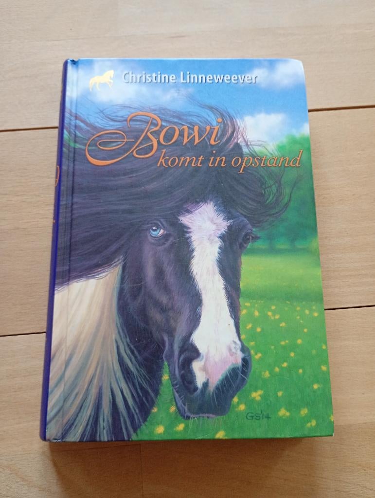 Bowi komt in opstand, Christine Linneweever, Ophalen of Verzenden, Zo goed als nieuw, Fictie, Christine Linneweever