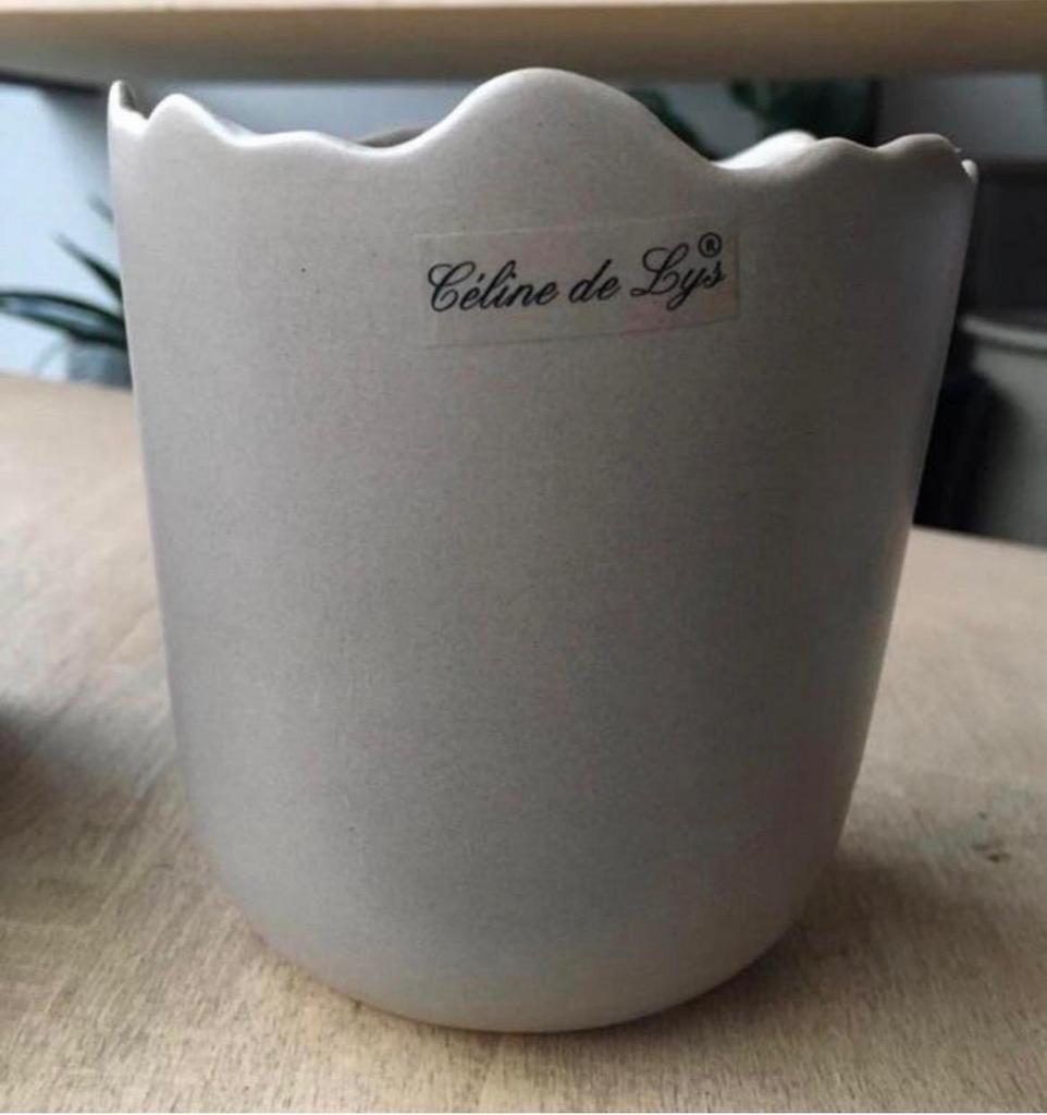 Mooie Luxe Celine de Lys bloempotten - diverse modellen, Tuin en Terras, Bloempotten, Zo goed als nieuw, Terracotta, Binnen, Minder dan 40 cm
