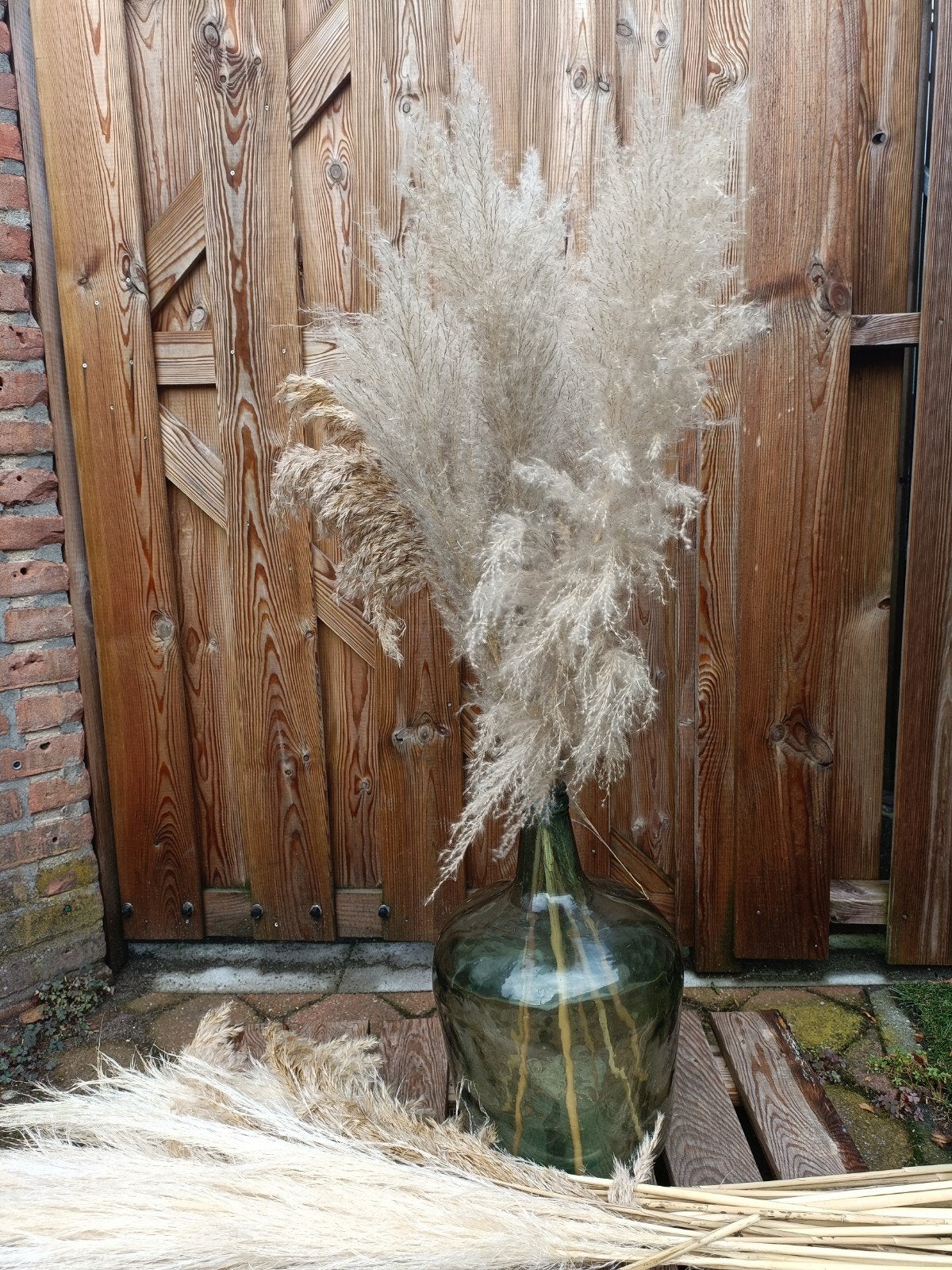 mooie grote fles vaas met pluimen, Ophalen, Volle zon, Overige soorten
