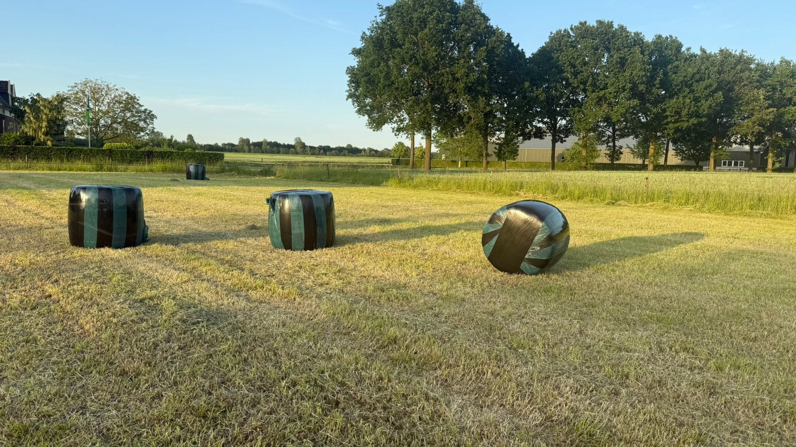 Midibalen Voordroog hooi, Dieren en Toebehoren, Ophalen, Vee