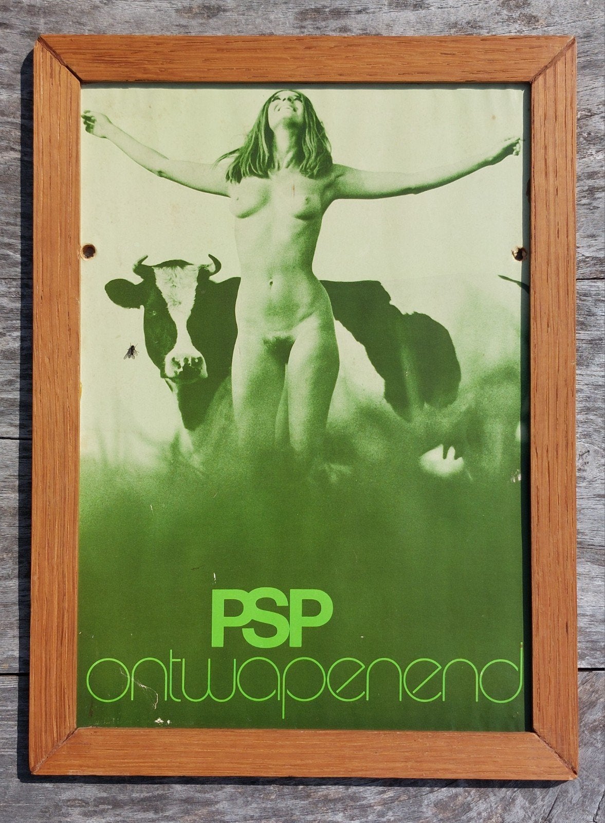 Vintage PSP Ontwapenend Poster - Naaktmodel & Koe A4 formaat, Ophalen of Verzenden