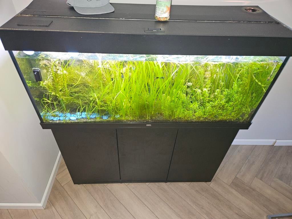 Juwel rio 240 L met veel extra., Dieren en Toebehoren, Vissen | Aquaria en Toebehoren, Ophalen, Leeg aquarium