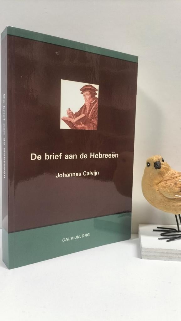 Calvijn, Joh; Verklaring van de Bijbel : De brief Hebreeën, Ophalen of Verzenden, Gelezen, Christendom | Protestants