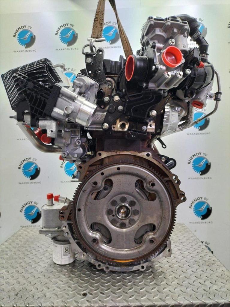 FORD KUGA VIGNALE 2.0 ECOBLUE B MOTOR 2021, Ophalen of Verzenden, Gebruikt, Stiba lid