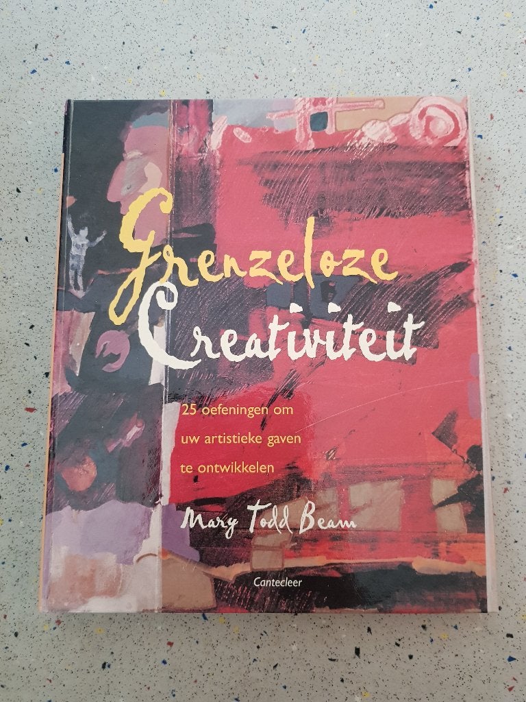 grenzeloze creativiteit Mary Todd Beam uitgever Cantecleer, Boeken, Hobby en Vrije tijd, Ophalen of Verzenden, Zo goed als nieuw