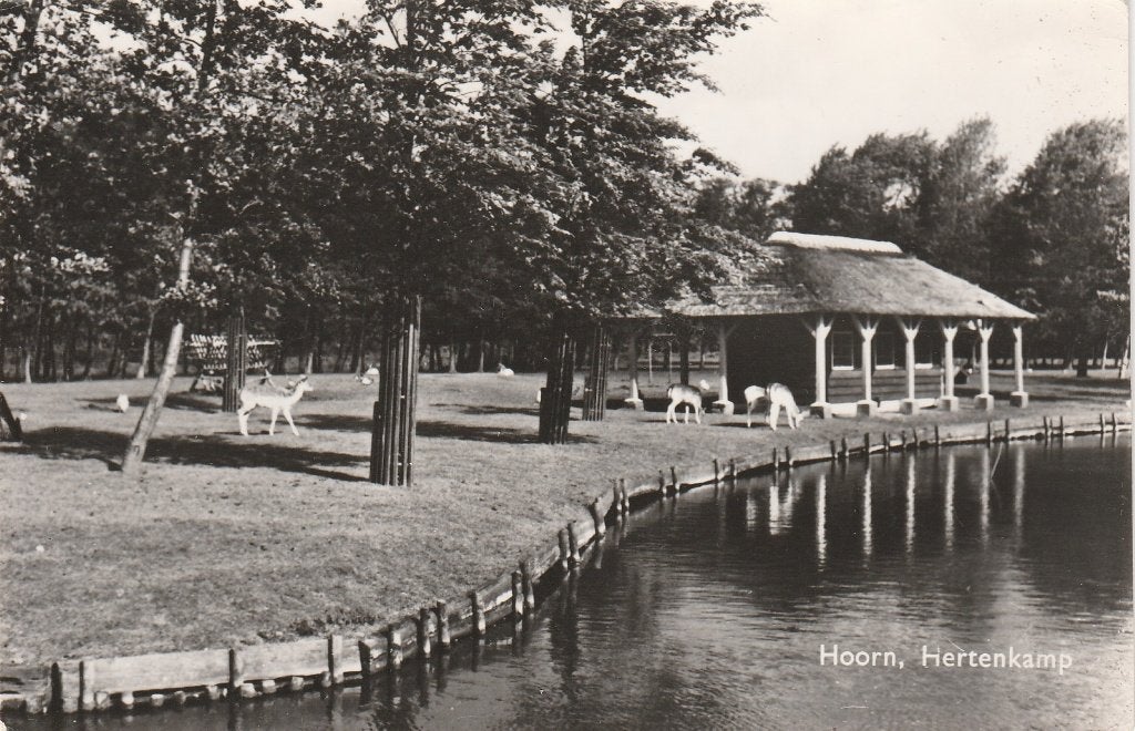 hoorn- hertenkamp, Ophalen of Verzenden, Noord-Holland