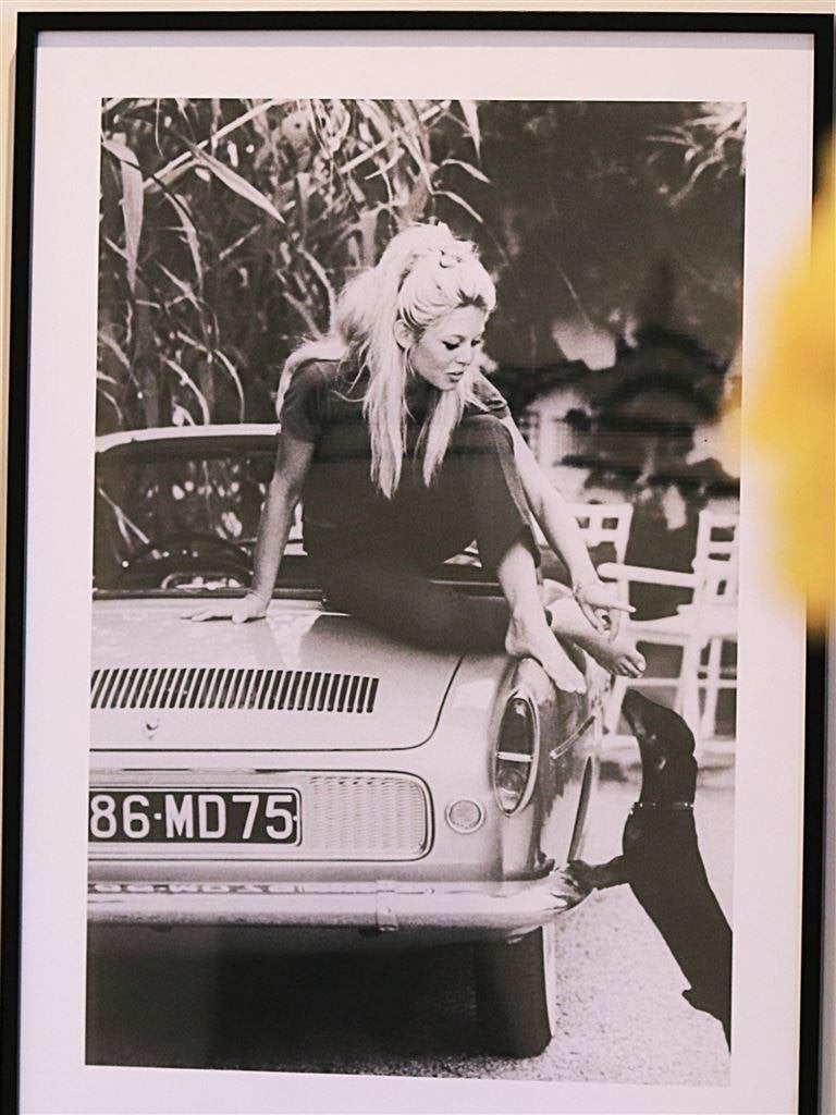 Brigitte Bardot met Teckel Dachshund kunst print | Poster, Verzenden