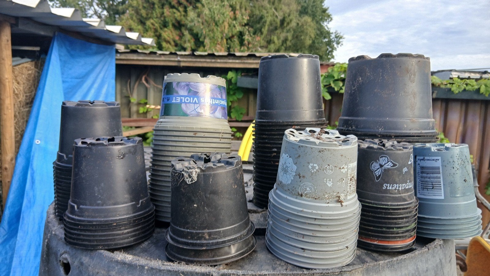 gebruikte kweekpotten in verschillende grotes, Kunststof, Gebruikt, Rond, Ophalen of Verzenden