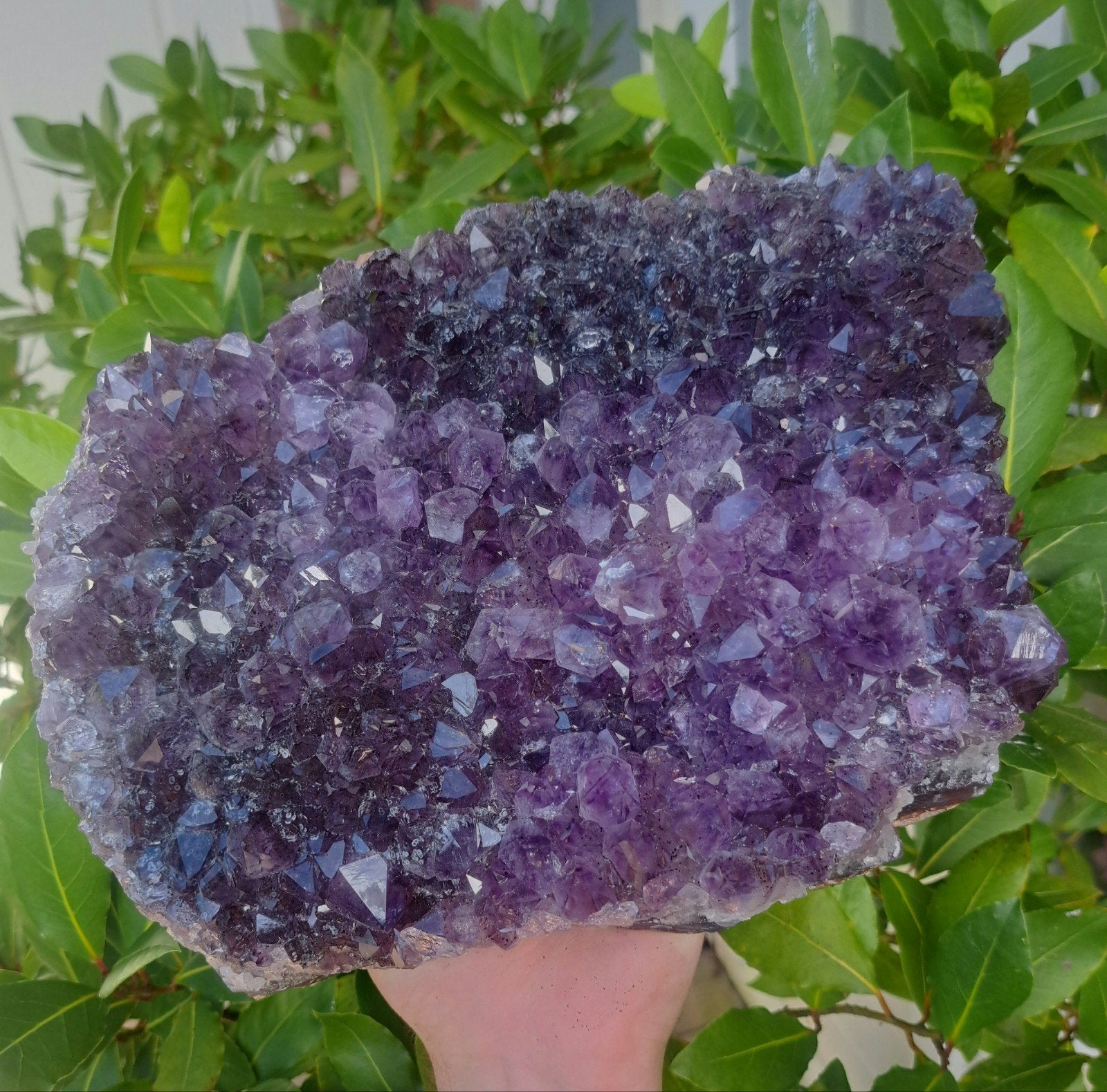 Uruguay Amethist cluster diep paarse kristallen edelsteen, Ophalen of Verzenden