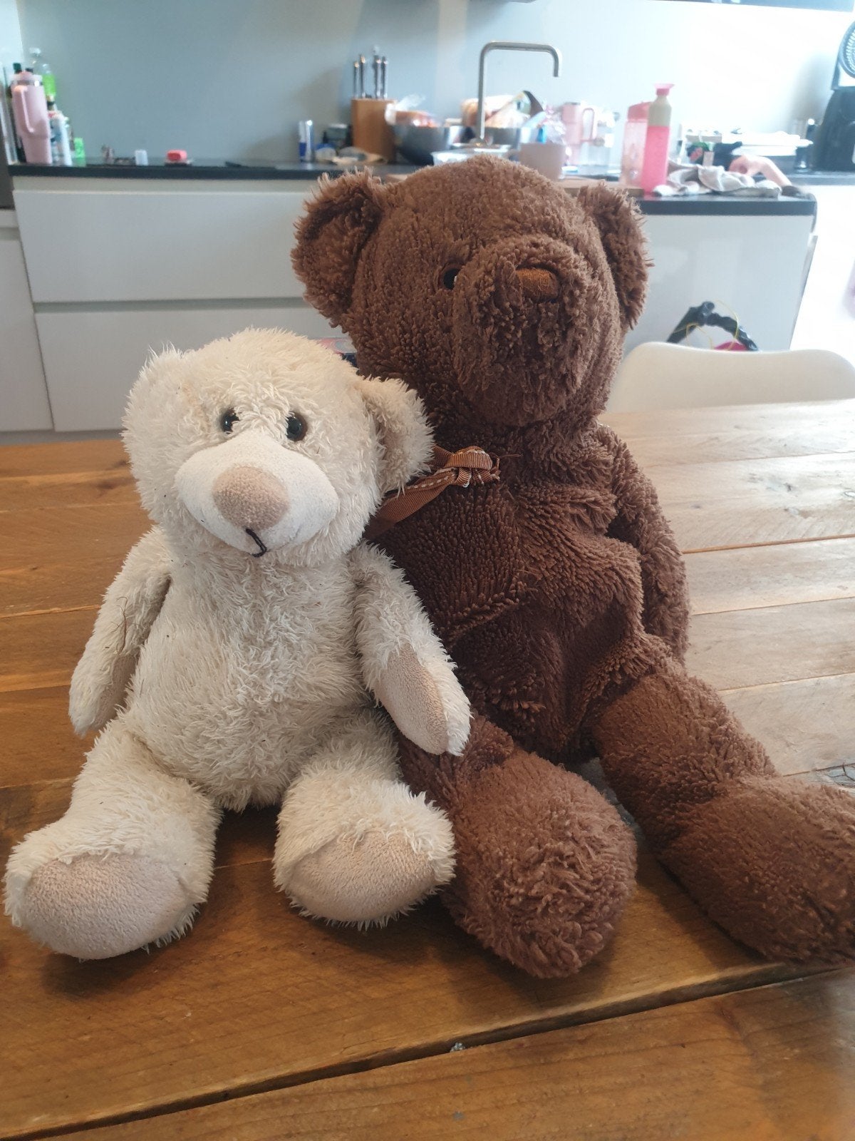 Schattige teddyberen te koop, Verzamelen, Beren en Cherished Teddies, Stoffen beer, Overige merken, Ophalen of Verzenden