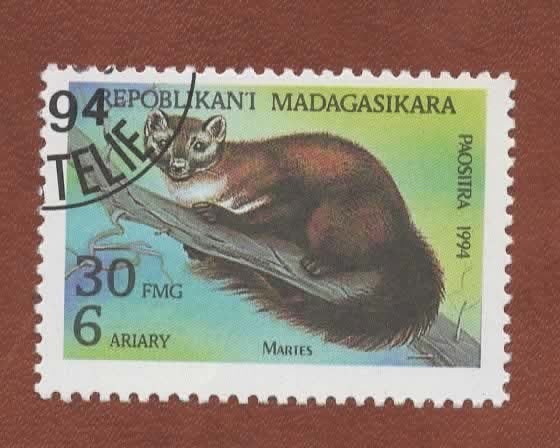 Katachtigen - Madagasikara - 1702 - Marter - gebr, Ophalen of Verzenden, Gestempeld, Dier of Natuur