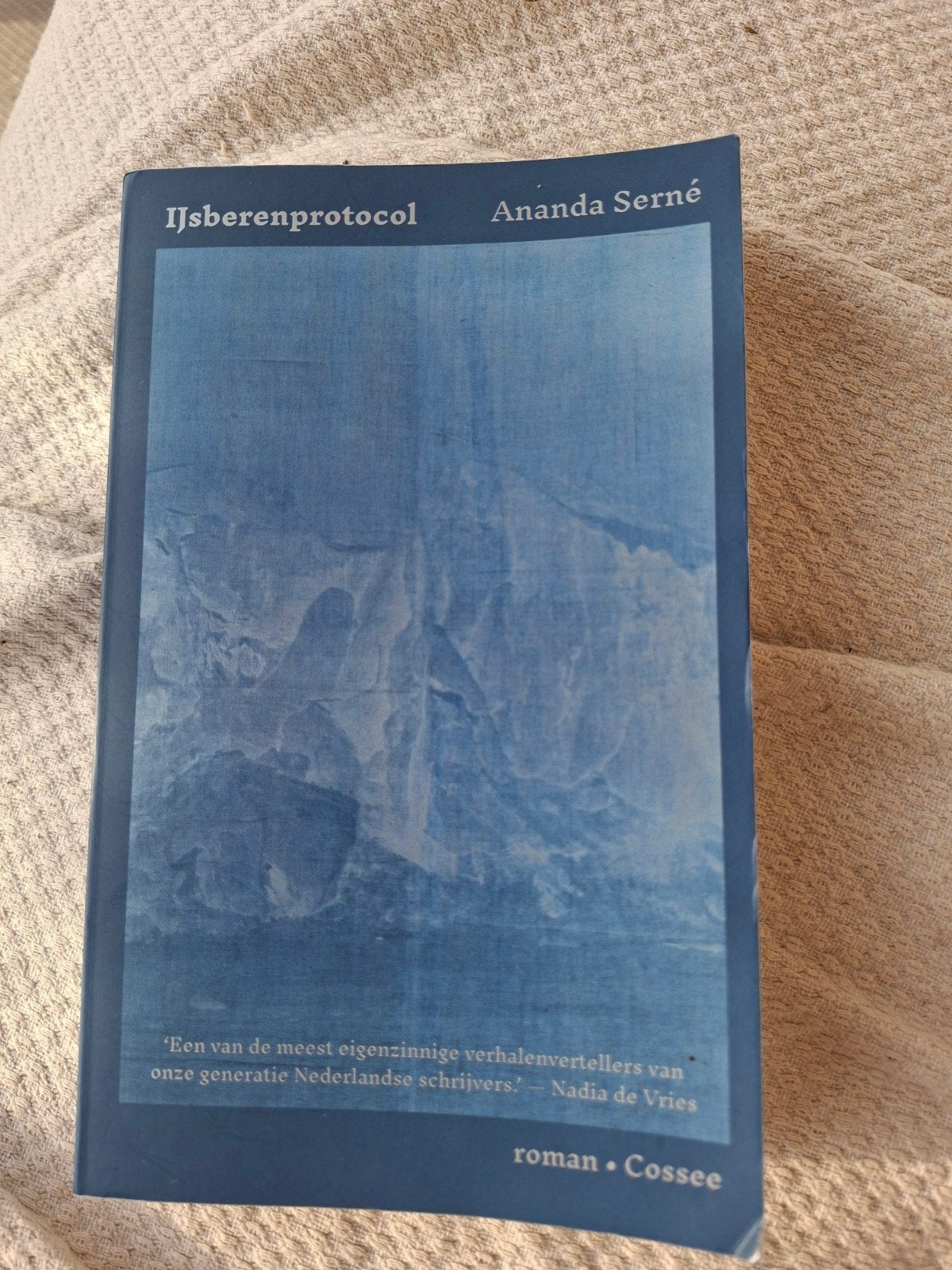 IJsberenprotocol - Ananda Serné (roman), Ophalen of Verzenden, Zo goed als nieuw, Ananda Serné