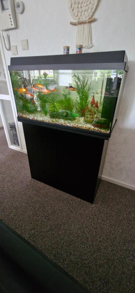 Juwel aquarium, Ophalen of Verzenden