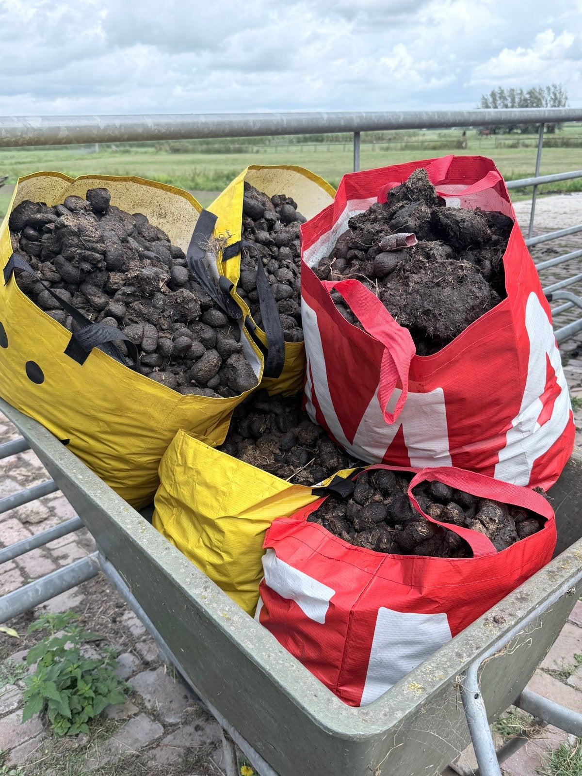 Verse paardenmest voor tuin en moestuin, Ophalen, Mest