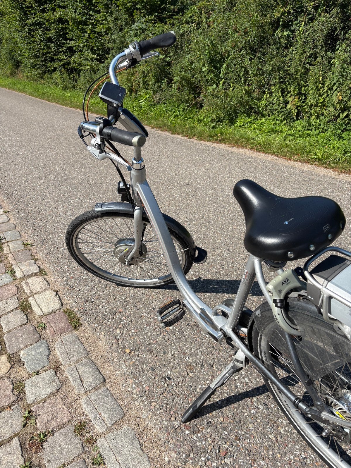 SPARTA e-bike met lage instap, incl. fietstassen en 2 accu's, Ophalen, Gebruikt, Sparta