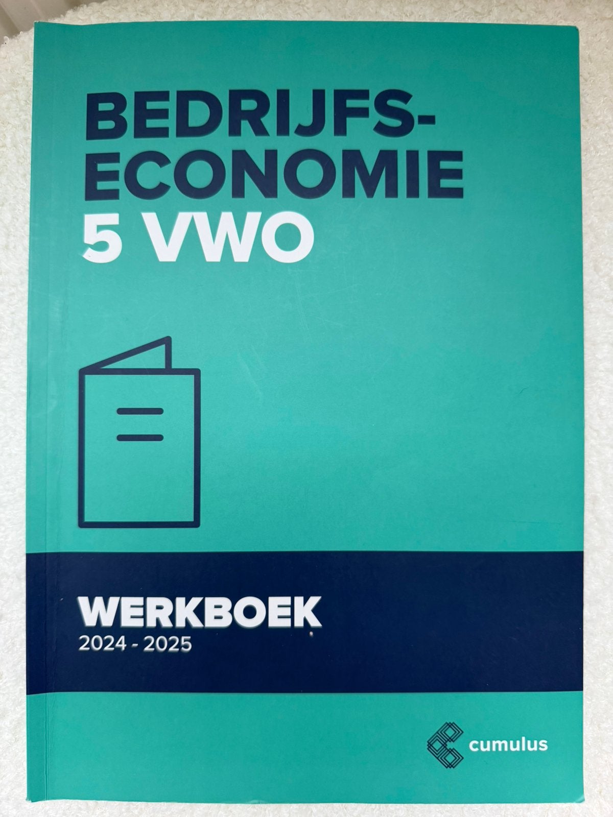 Cumulus Bedrijfseconomie 5vwo, Boeken, Ophalen of Verzenden, Zo goed als nieuw