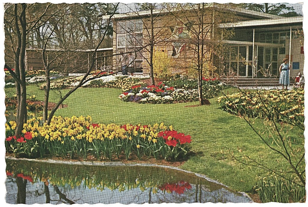 805034	Lisse	1959 ZH Keukenhof	Gelopen met postzegel