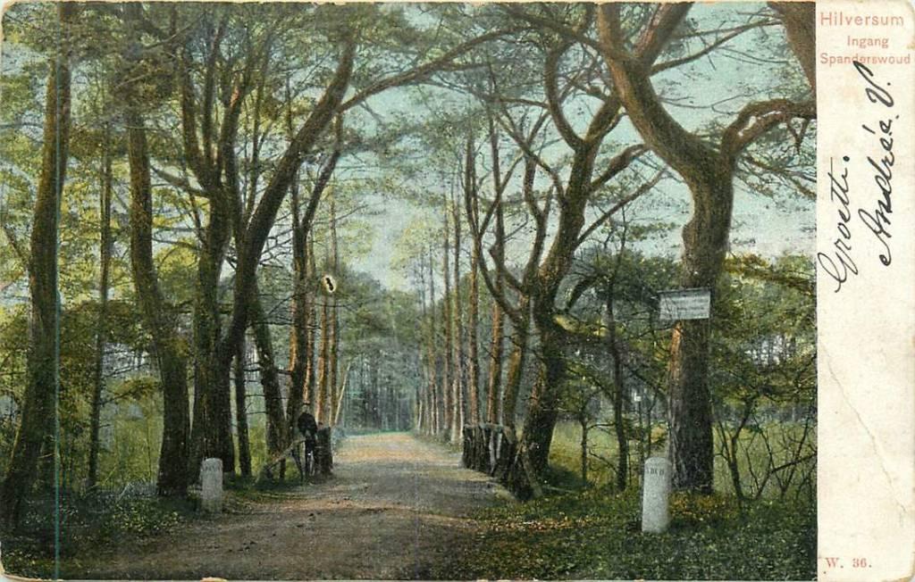 381-253-035 Hilversum Spanderswoud, Verzenden, Voor 1920, Noord-Holland