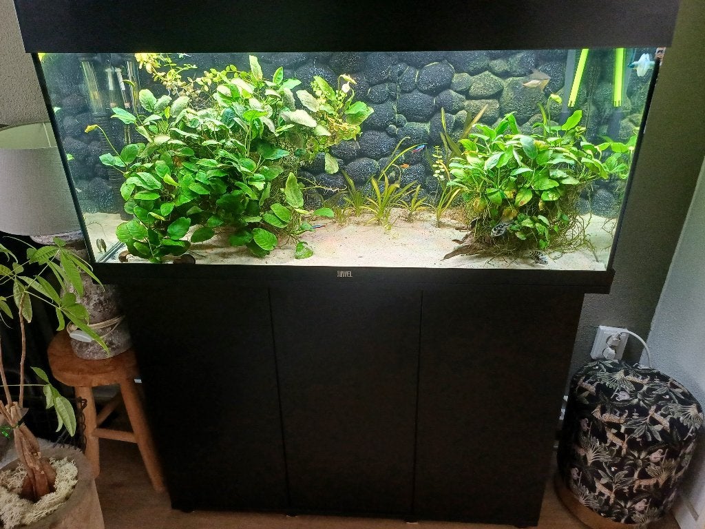 Aquarium juwel compleet, Ophalen, Gebruikt, Gevuld zoetwateraquarium, Inclusief vissen