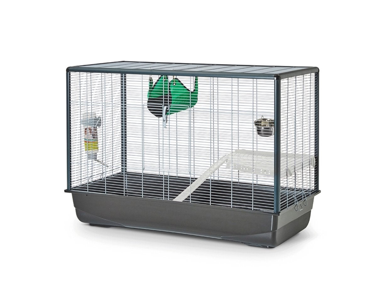 Kooi NIEUW! Zeno Knockdown 3 100x50x70 knaagdieren, ratten, Ophalen, Nieuw, Overige typen