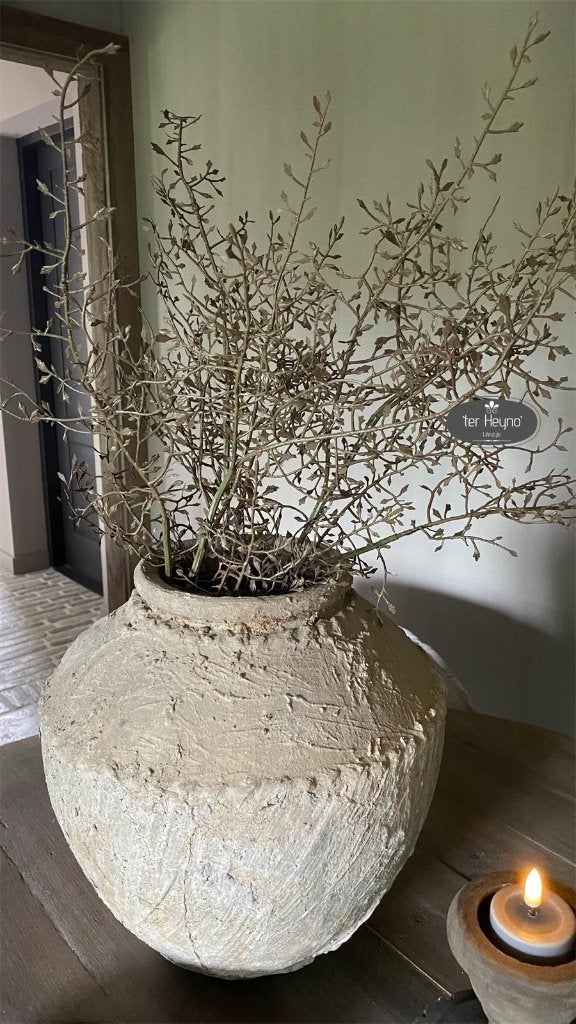 Corokia tak kunst takje corokiatak stoer sober landelijk, Nieuw, Ophalen of Verzenden, 104 cm, Binnen