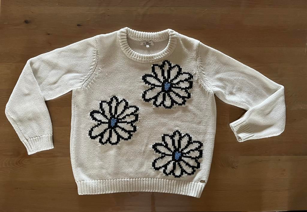 Mooie zgan trui met bloemen maat 38, Kleding | Dames, Truien en Vesten, Ophalen of Verzenden, Zo goed als nieuw, Maat 38/40 (M)
