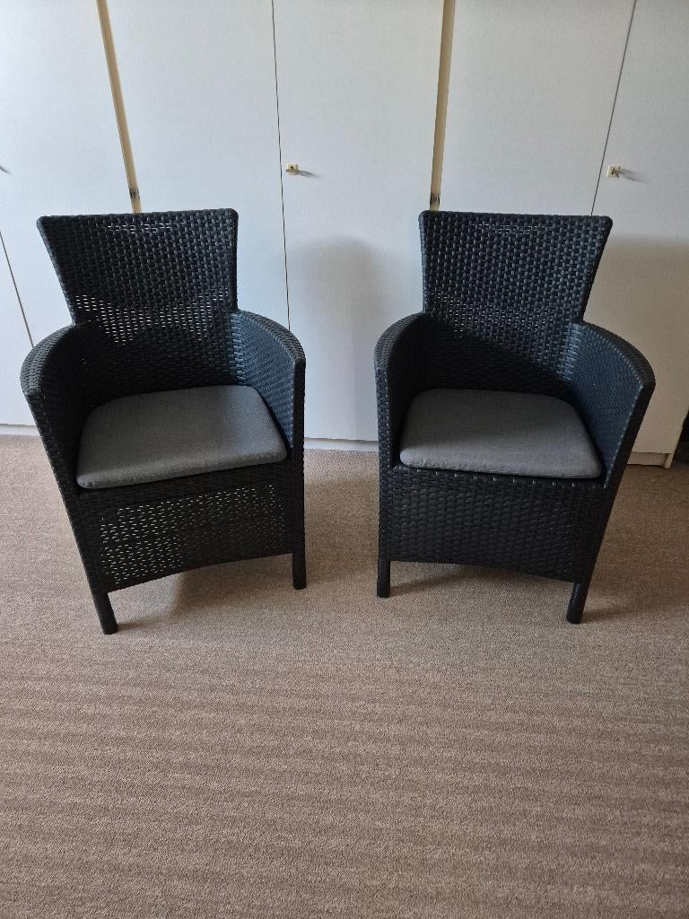 2x Dinning Chair ofwel 2x Tuinstoelen met kussens, Ophalen, Zo goed als nieuw, Wicker, Stapelbaar