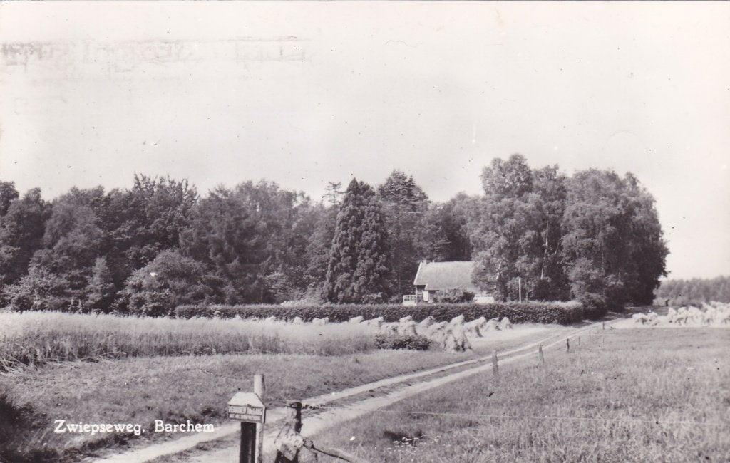 Barchem. Ansichtkaart Zwiepseweg. 1974, Ophalen of Verzenden, 1960 tot 1980, Gelopen, Gelderland