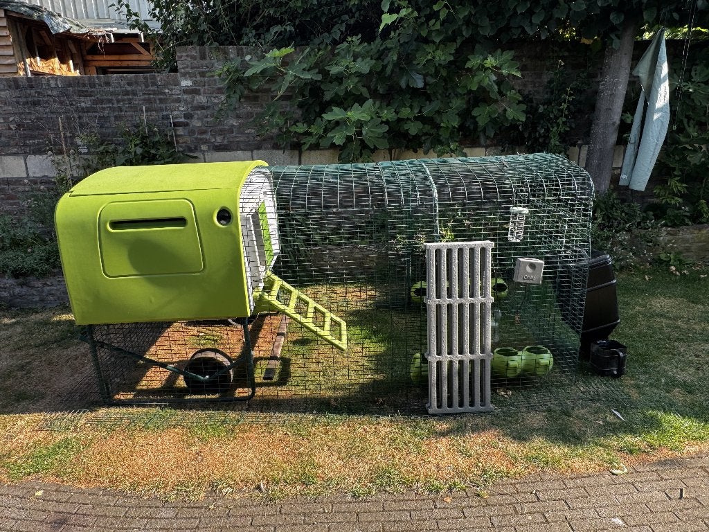 Complete Omlet Eglu Cube kippenverblijf – zeer nette staat, Dieren en Toebehoren, Pluimvee | Toebehoren, Ophalen, Zo goed als nieuw