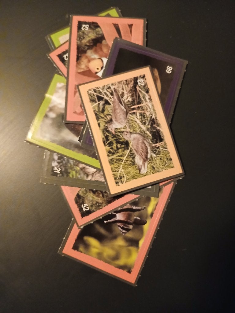 Dekamarkt Artis Deka Dieren Stickers (2026), Dekamarkt, Ophalen of Verzenden