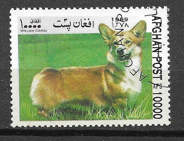Afghaanse postzegel 1999 - Welsh Corgi hond, Ophalen of Verzenden, Gestempeld, Dier of Natuur