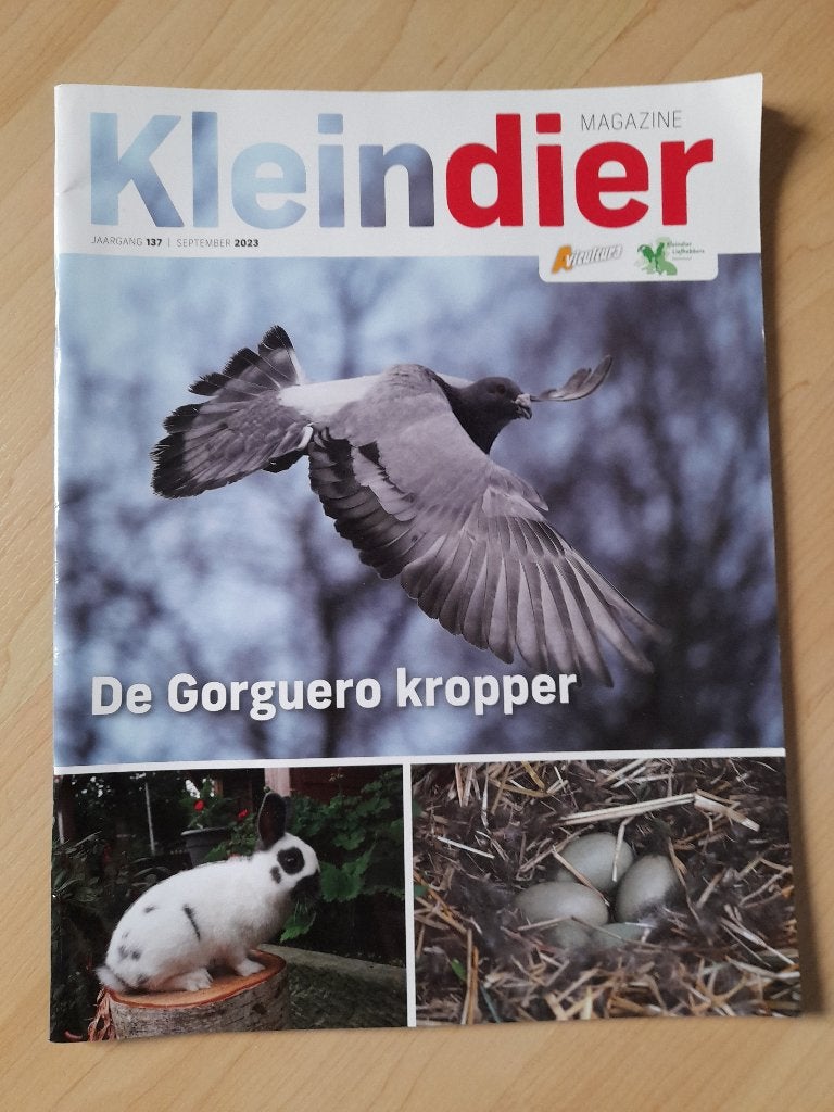 TIJDSCHRIFT KLEINDIER 2023, 2024 en 2025, Ophalen of Verzenden, Zo goed als nieuw, Overige typen