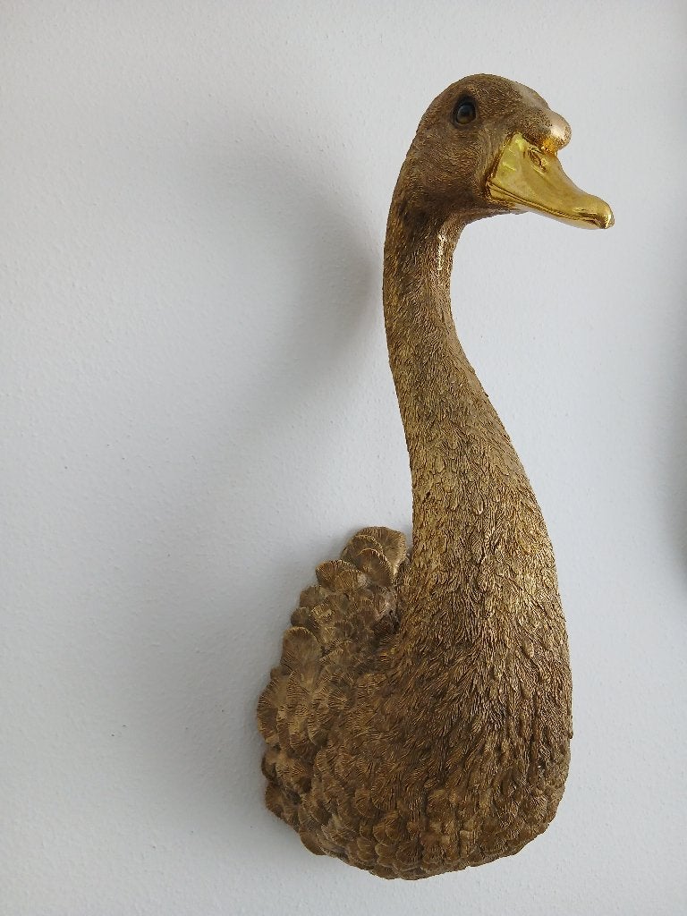 Kop van gans, Ophalen, Wandhanger, Composieten, Modern