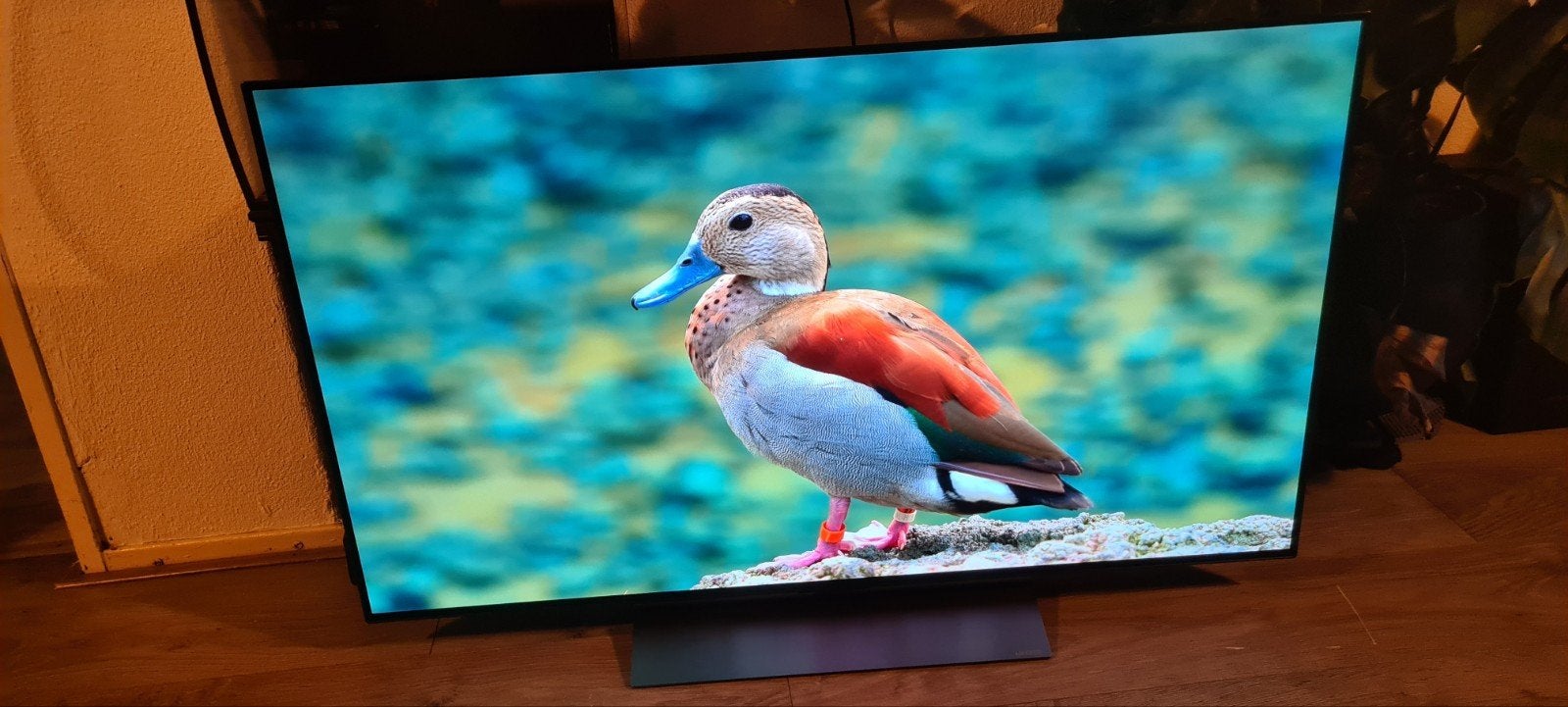 Foto 4 van LG OLED evo C3 – 48inch 4K OLED Smart TV – 120Hz HDR10 Dolby