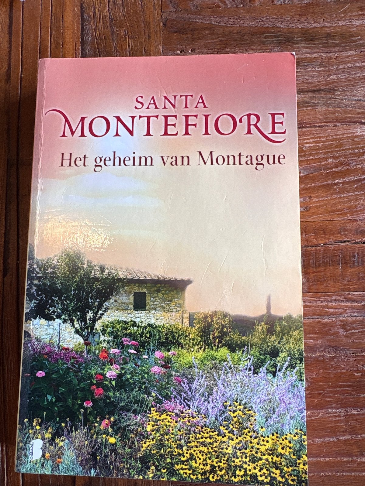 Santa Montefiore - Het geheim van Montague, Ophalen of Verzenden, Gelezen, Nederland
