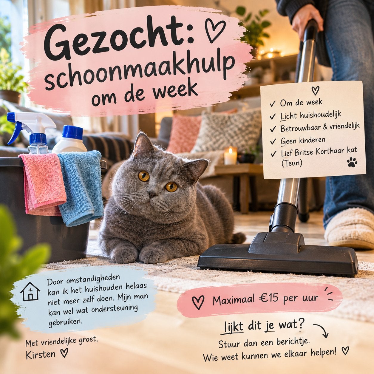 Gezocht: betrouwbare schoonmaakhulp voor om de week Huissen