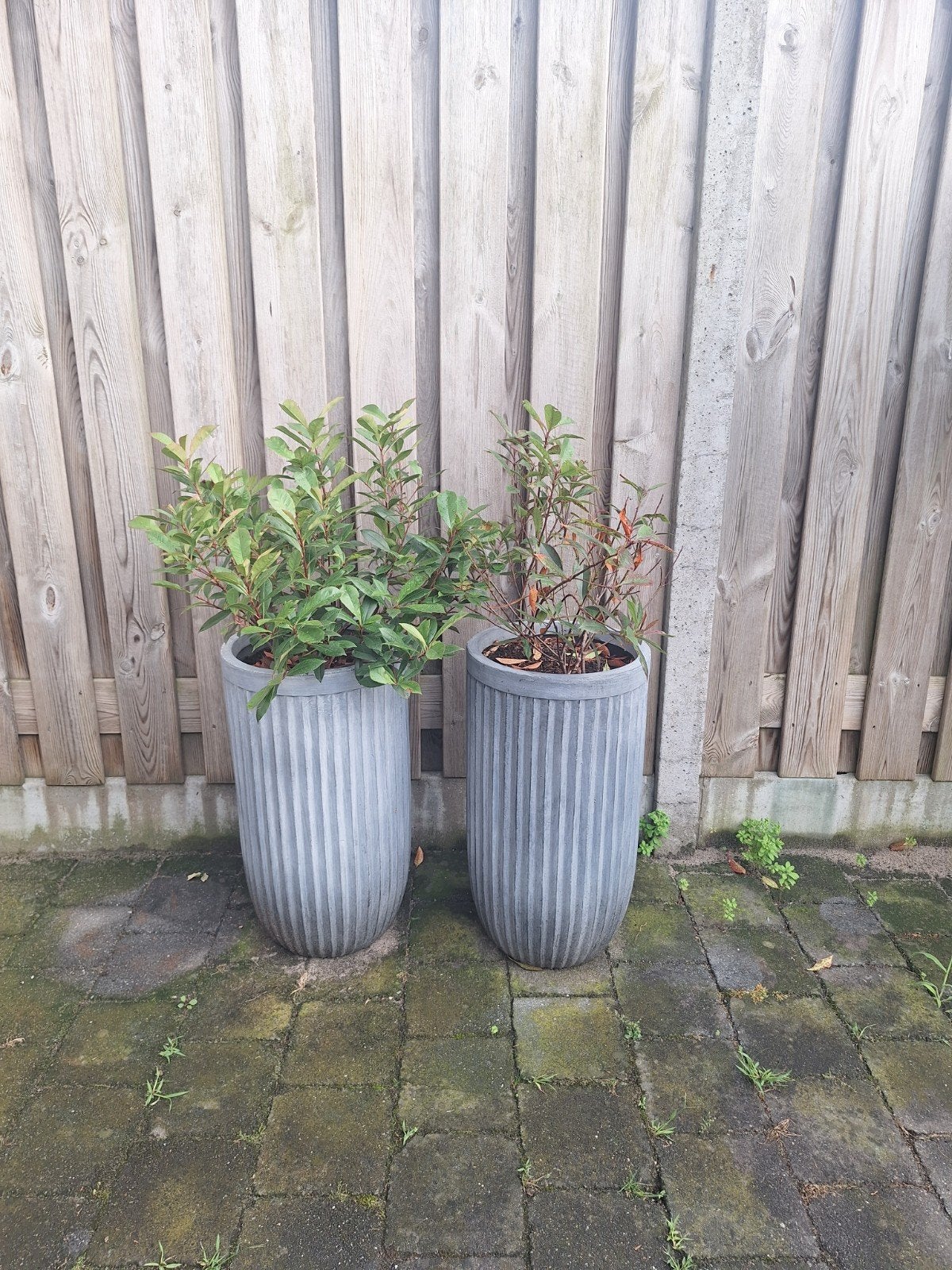 2 grote buiten potten grijs, Ophalen, Rond, Kunststof