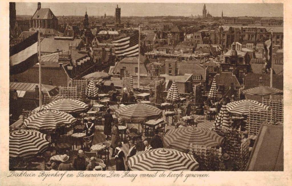 DEN HAAG  Daktuin Bijenkorf en Panorama Den Haag, Ophalen of Verzenden, 1920 tot 1940, Gelopen, Zuid-Holland