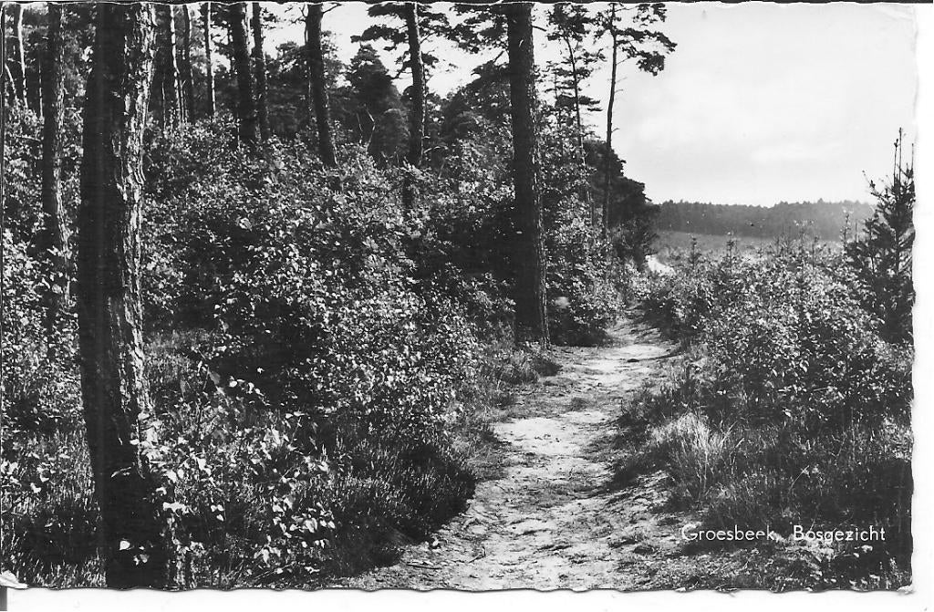 Groesbeek Bosgezicht., Verzamelen, Ansichtkaarten | Nederland, Ophalen of Verzenden, 1960 tot 1980, Gelopen, Gelderland