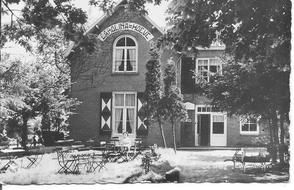 Oude Ansichtkaart Carolina Hoeve De Steeg Gelderland, Verzamelen, Ansichtkaarten | Nederland, Ophalen of Verzenden, 1960 tot 1980
