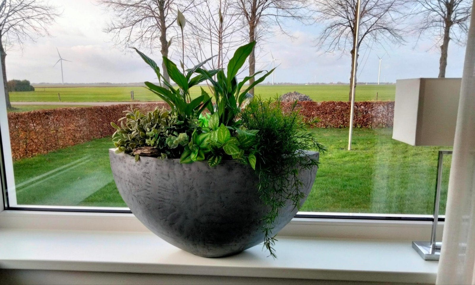 Antracietgrijze ovale bloempotten van Bob (70x30x35 cm), Ophalen, Kunststof, Zo goed als nieuw, Binnen