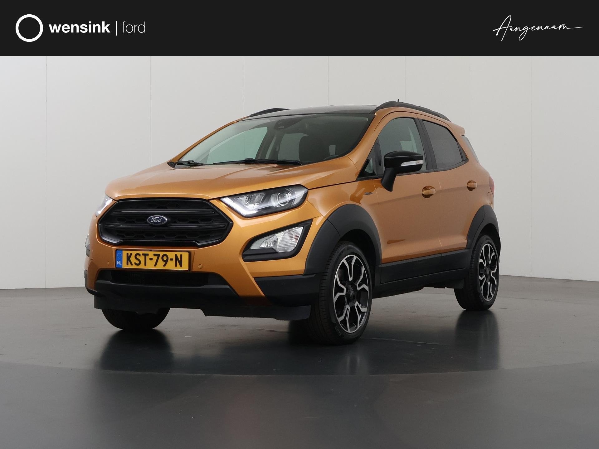 Ford EcoSport 1.0 EcoBoost Active | Camera | Lederen Bekledi
