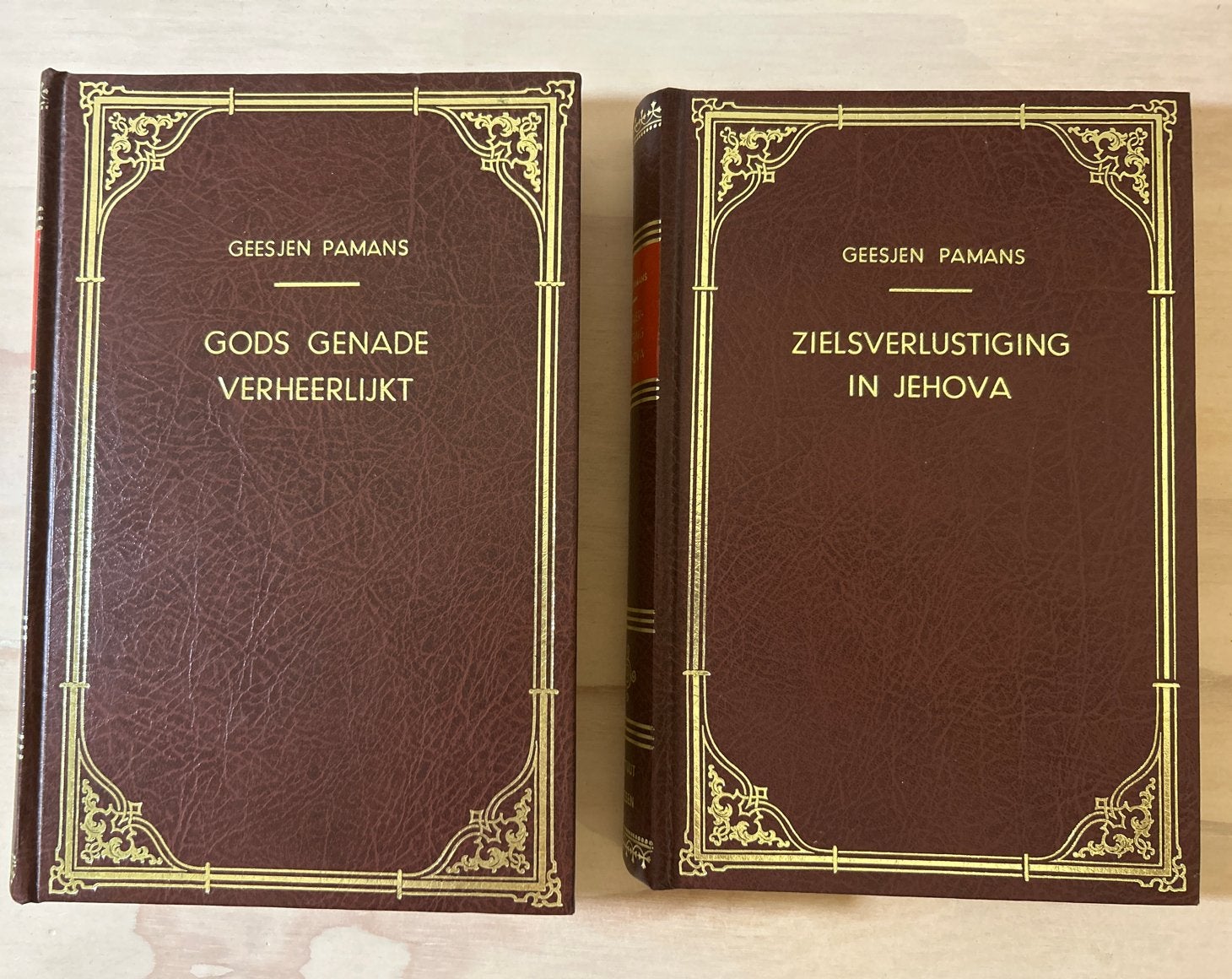 Gods Genade Verheerlijkt/Zielsverlustiging in Jehova-Pamans, Boeken, Ophalen of Verzenden, Zo goed als nieuw, Christendom | Protestants