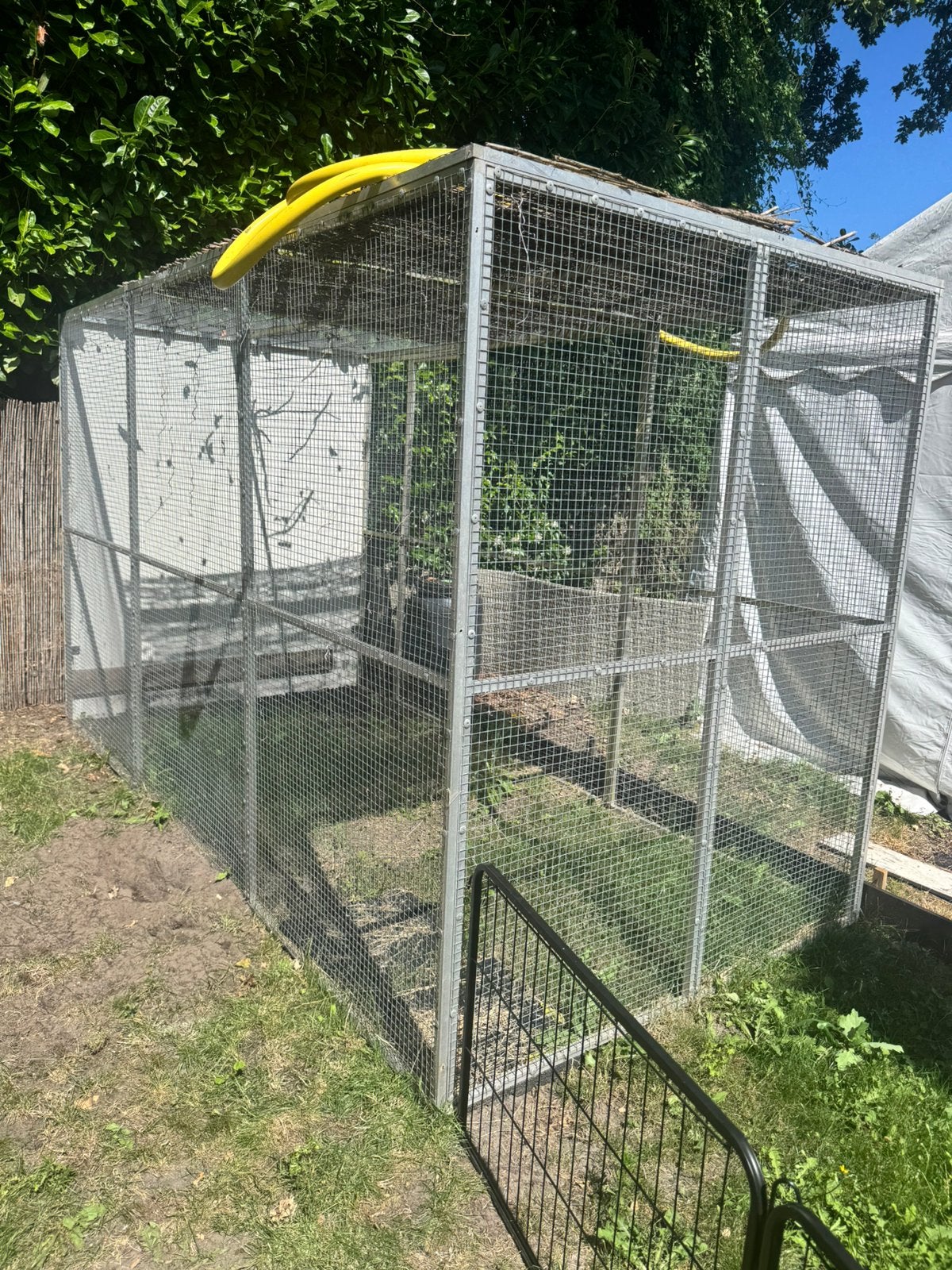Gegalvaniseerde Ren H1.80 x B 3.00 x D 1.50, Ophalen, Gebruikt