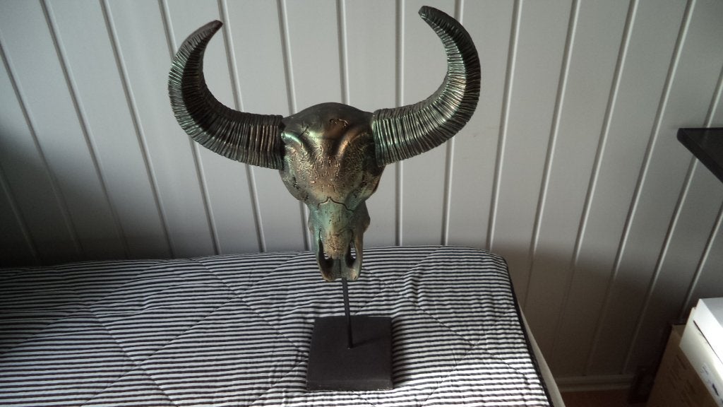Skull, Meerkleurig, Overige stijlen, Kunststof, Ophalen of Verzenden