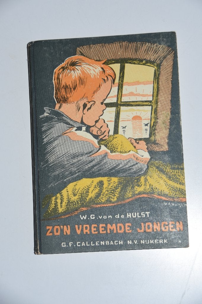 Kinderboek Zo'n Vreemde Jongen - W.G. van de Hulst, Verzenden, Gelezen, Fictie algemeen